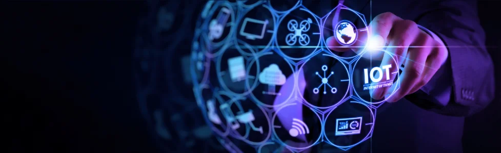 Automated Patch Management and Vulnerability Scanning